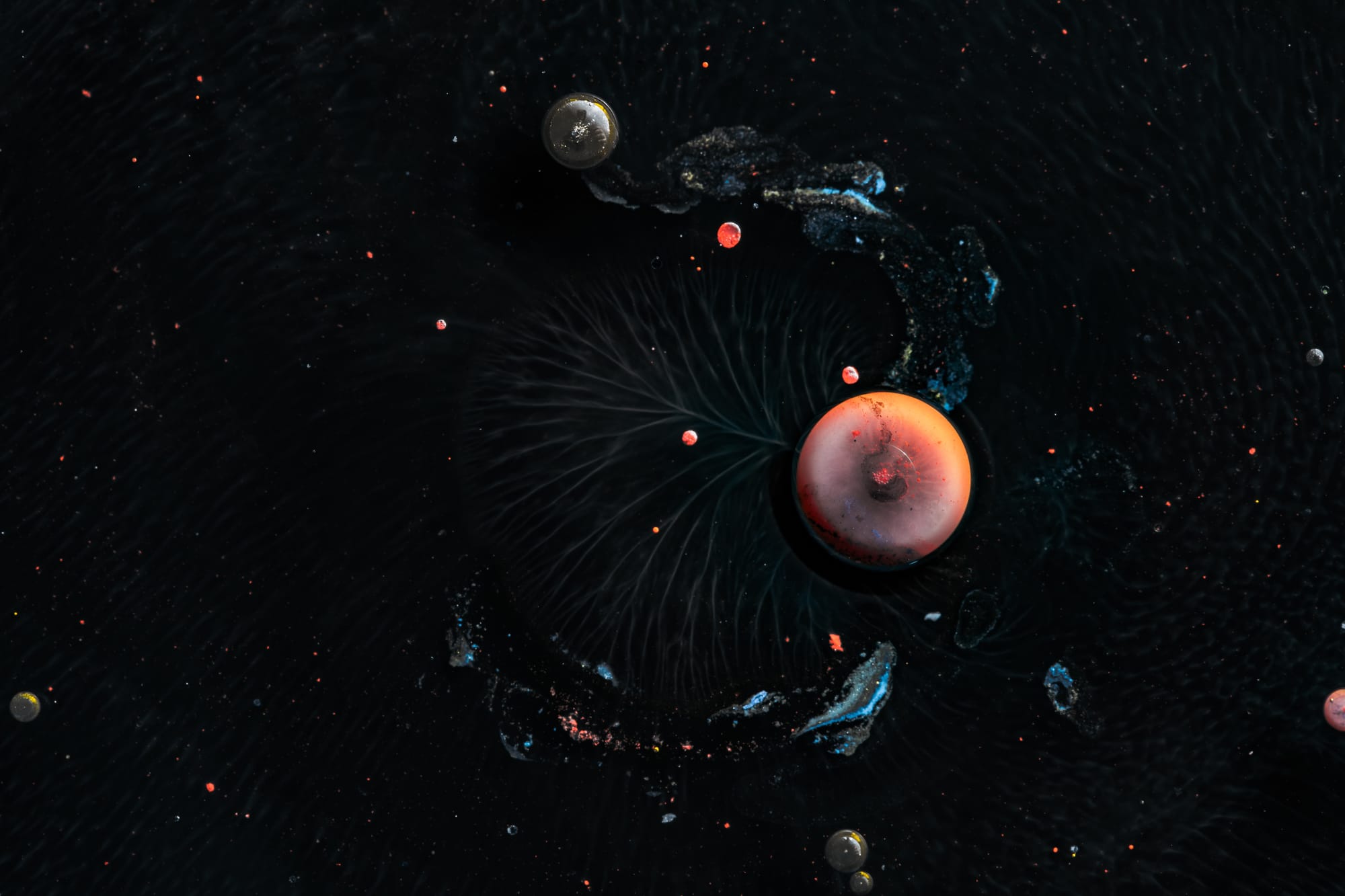 Island Thinker | 小島視角